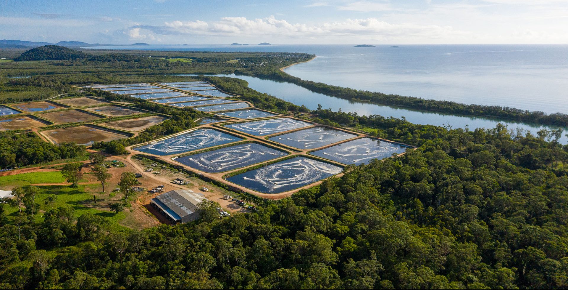 Tassal Prawn Farm